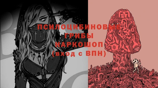 тгк Абдулино